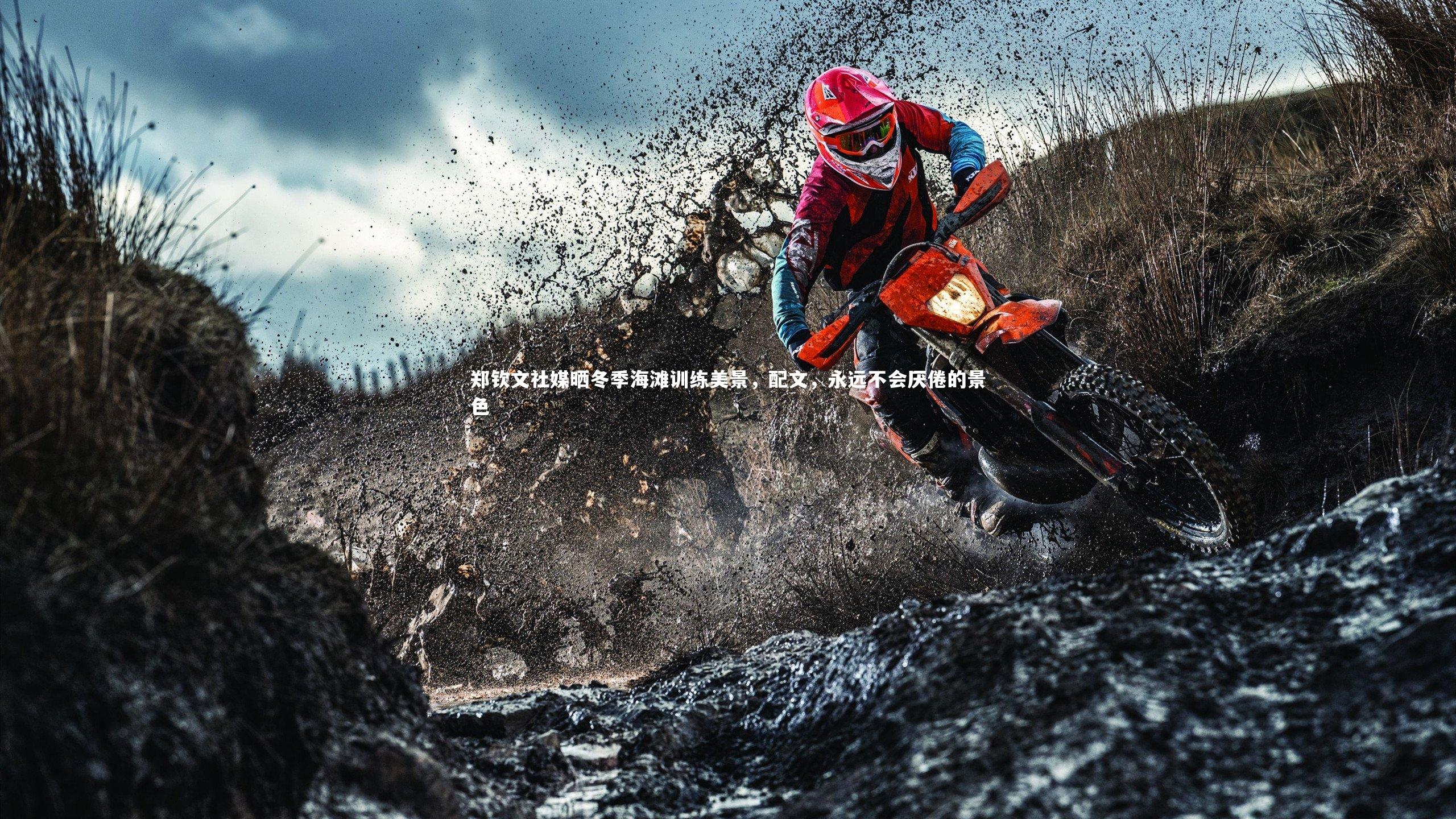 郑钦文社媒晒冬季海滩训练美景,配文,永远不会厌倦的景色
